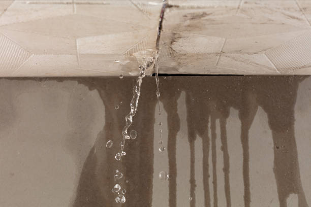 Professional Structural Drying technician working in Rudolph, OH